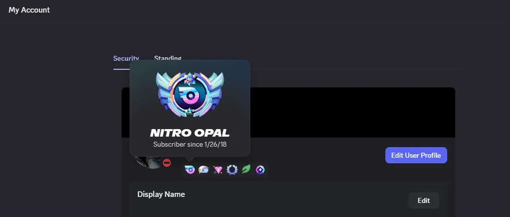 2017 Discord Early Supporter Account with Nitro Opal Badge - $599 — screenshot 1