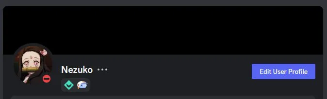 Discord profile card for the display name Nezuko showing two badges beside the username