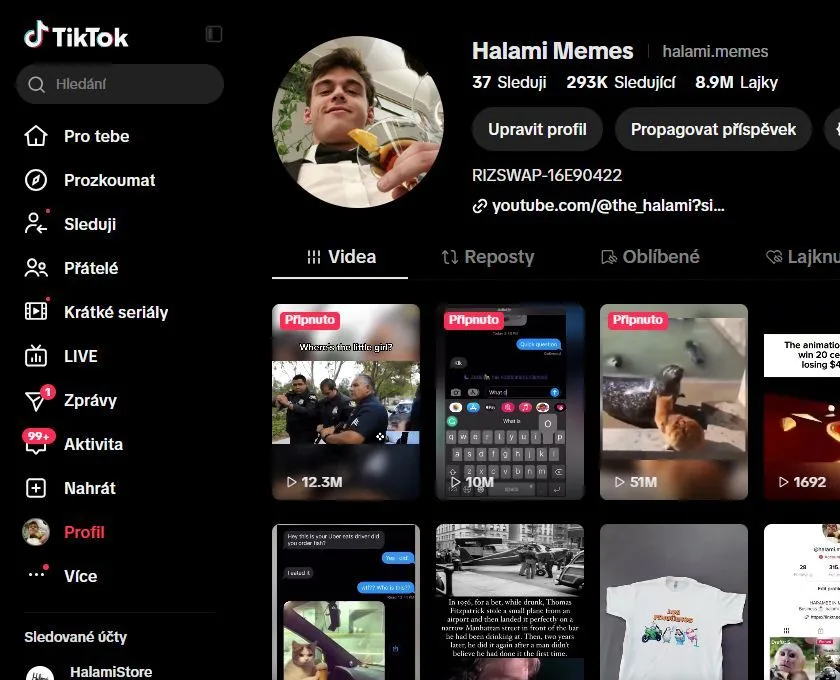 293K TikTok Meme Page | 8.9M Likes | Relaunch Opportunity, screenshot