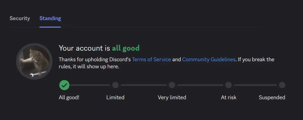 Buy 2016 Early Supporter Discord Account - Aged Account with All Good Standing — screenshot 2