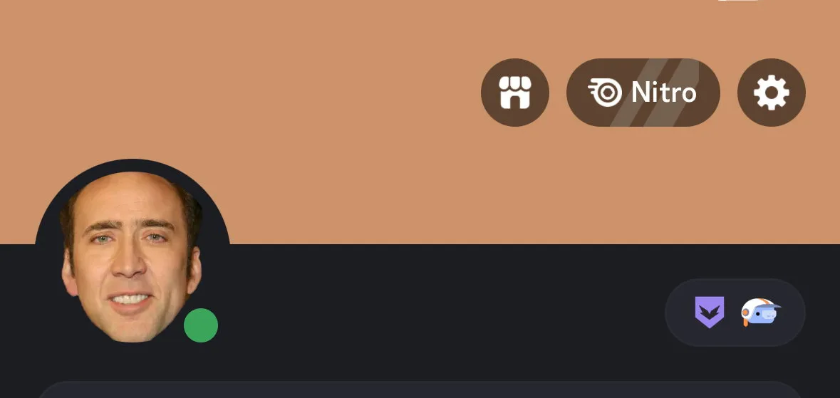 Discord profile header showing an active Nitro button and two badges in the profile badge tray