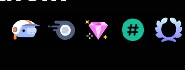 Discord profile badge row supplied by the seller