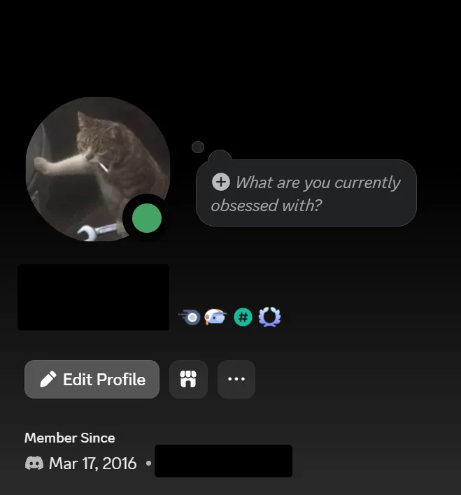 Discord profile screenshot supplied by the seller showing the account badges