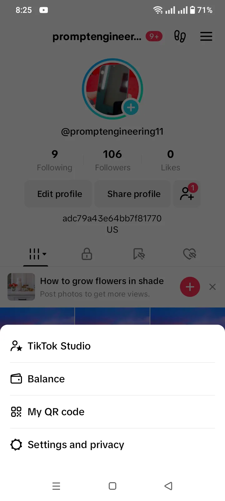 Seller-supplied TikTok account screenshot for promptengineering11 (3 of 3)