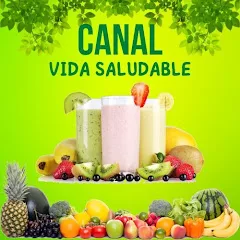Canal Vida Saludable YouTube Channel | 582K Subscribers — screenshot 1